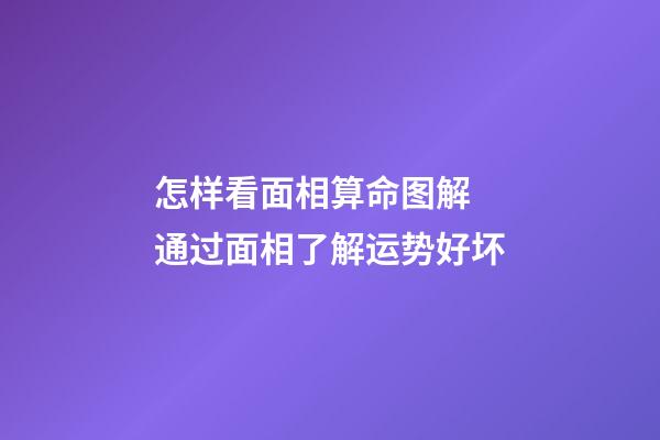 怎样看面相算命图解 通过面相了解运势好坏